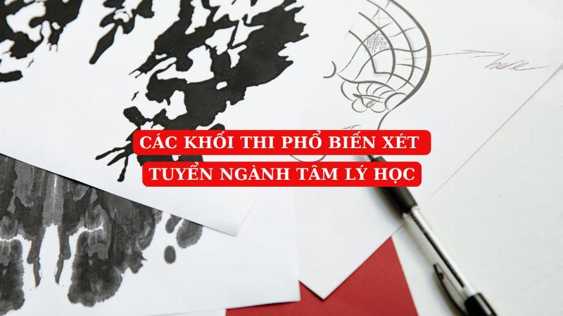 Lợi thế của việc chọn tổ hợp D14