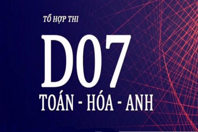Ngành Học Khối D07