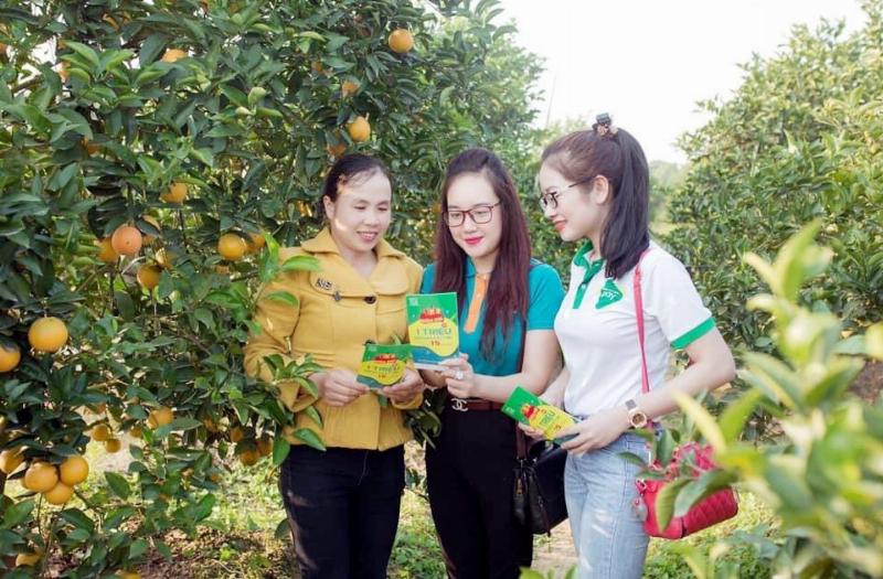 Ứng Dụng Tỉ Lệ Phần Trăm Trong Cuộc Sống